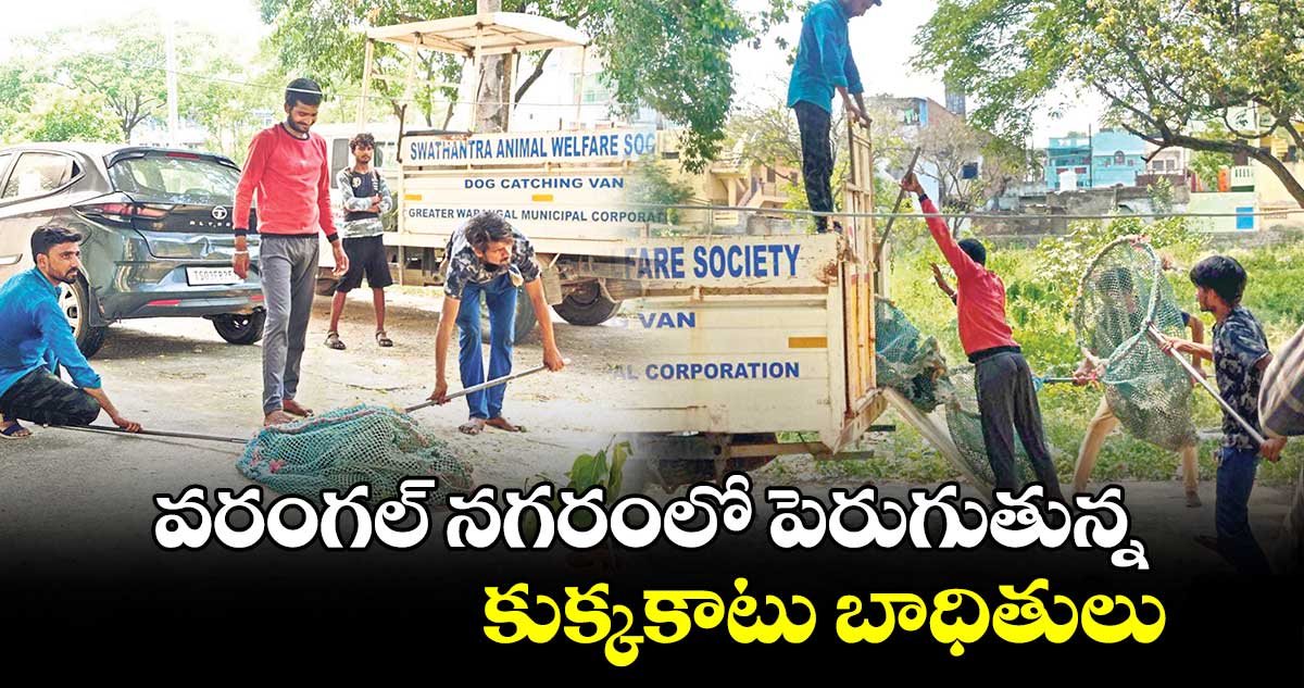  వరంగల్ నగరంలో పెరుగుతున్న కుక్కకాటు బాధితులు