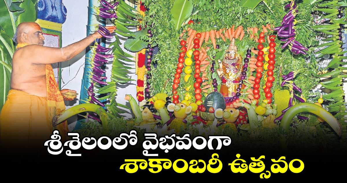 శ్రీశైలంలో వైభవంగా శాకాంబరీ ఉత్సవం