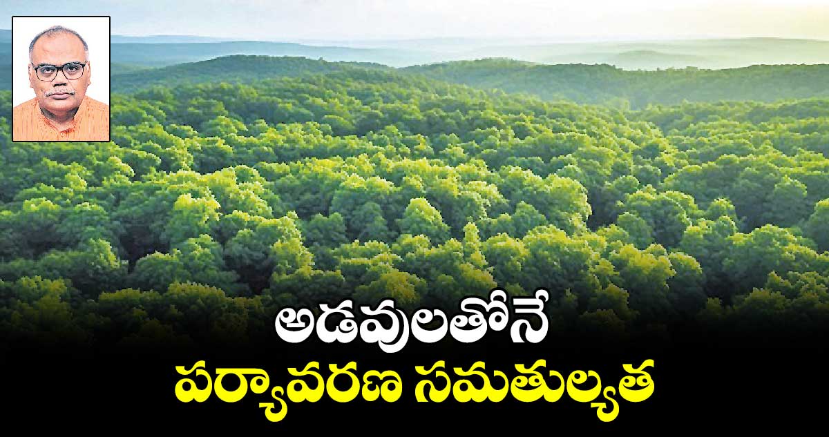 అడవులతోనే పర్యావరణ సమతుల్యత