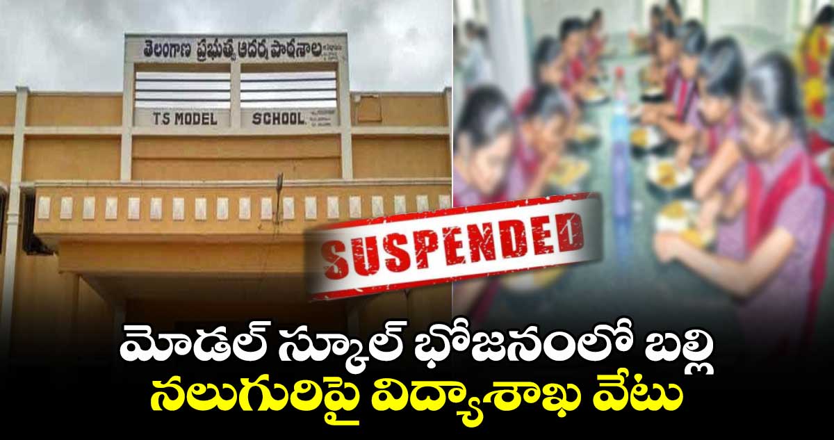 మోడల్ స్కూల్‌ భోజనంలో బల్లి : నలుగురిపై విద్యాశాఖ వేటు