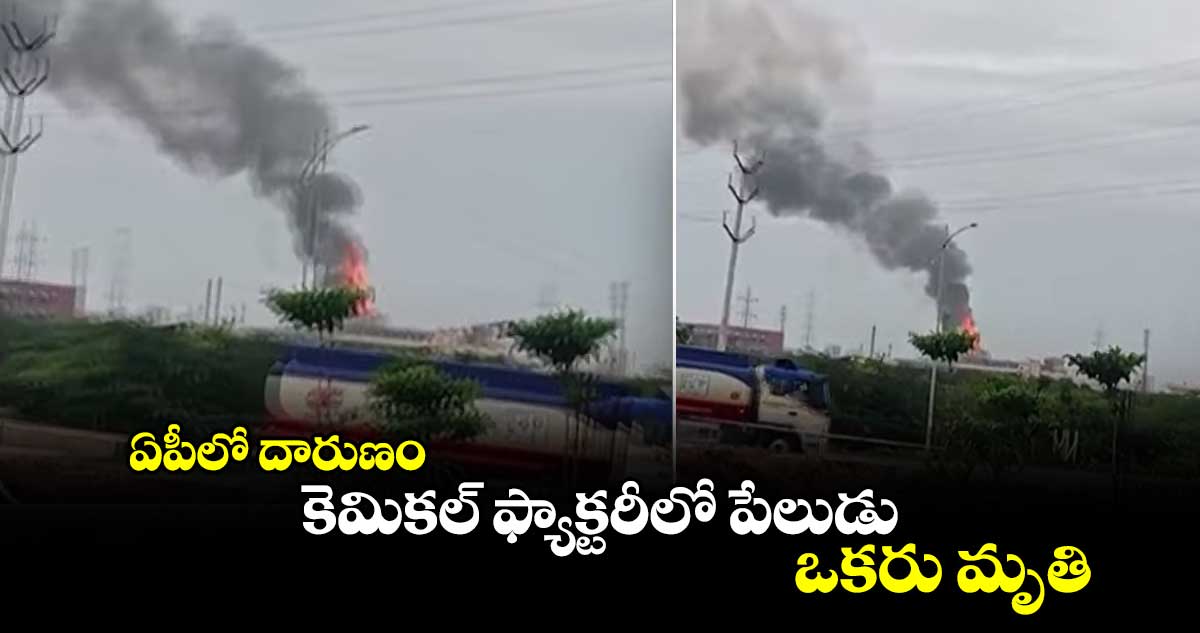 ఏపీలో దారుణం: కెమికల్ ఫ్యాక్టరీలో పేలుడు... ఒకరు మృతి.. 