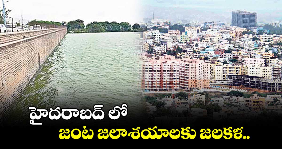 హైదరాబద్ లో జంట జలాశయాలకు జలకళ..