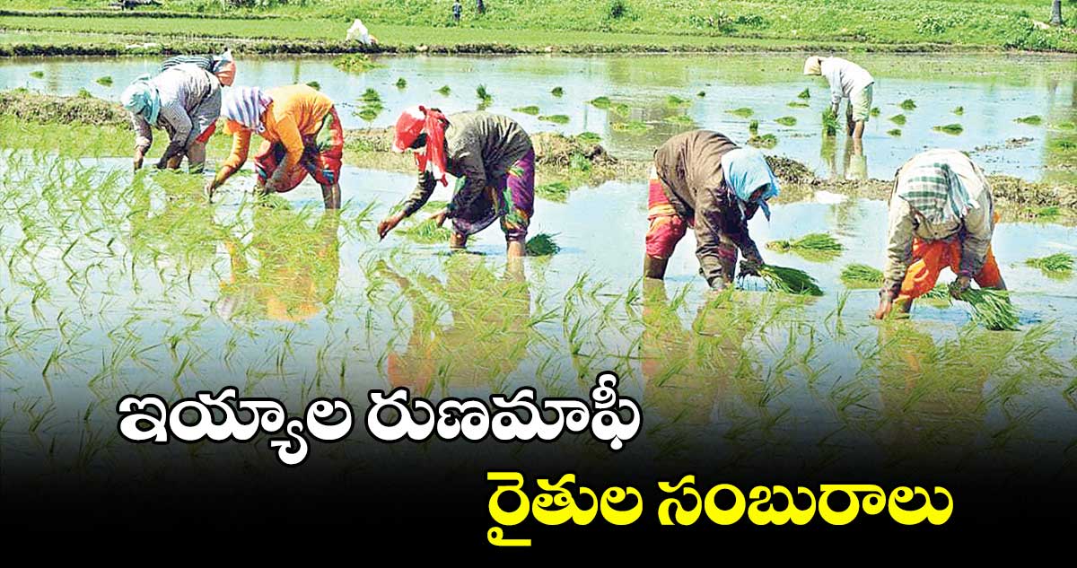 ఇయ్యాల రుణమాఫీ .. రైతుల సంబురాలు