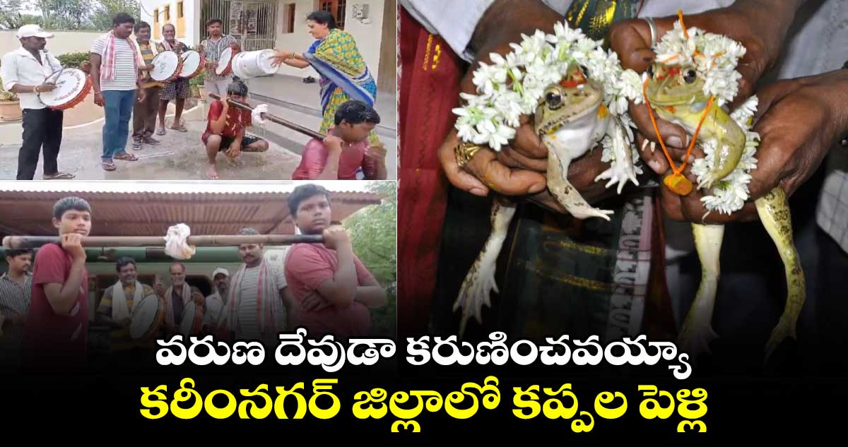 వరుణ దేవుడా కరుణించవయ్యా... కరీంనగర్​ జిల్లాలో కప్పల పెళ్లి