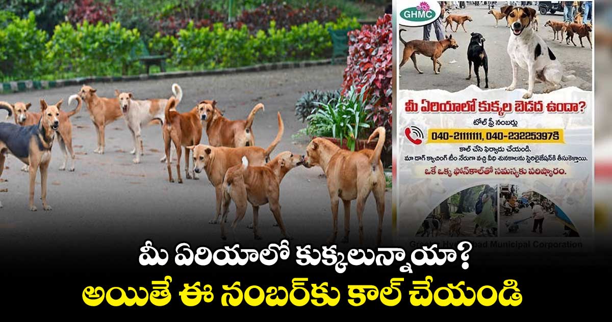 మీ ఏరియాలో కుక్కలున్నాయా?..అయితే ఈ నంబర్⁬కు కాల్ చేయండి:GHMC