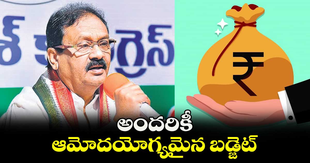 అందరికీ ఆమోదయోగ్యమైన బడ్జెట్ : షబ్బీర్​అలీ 