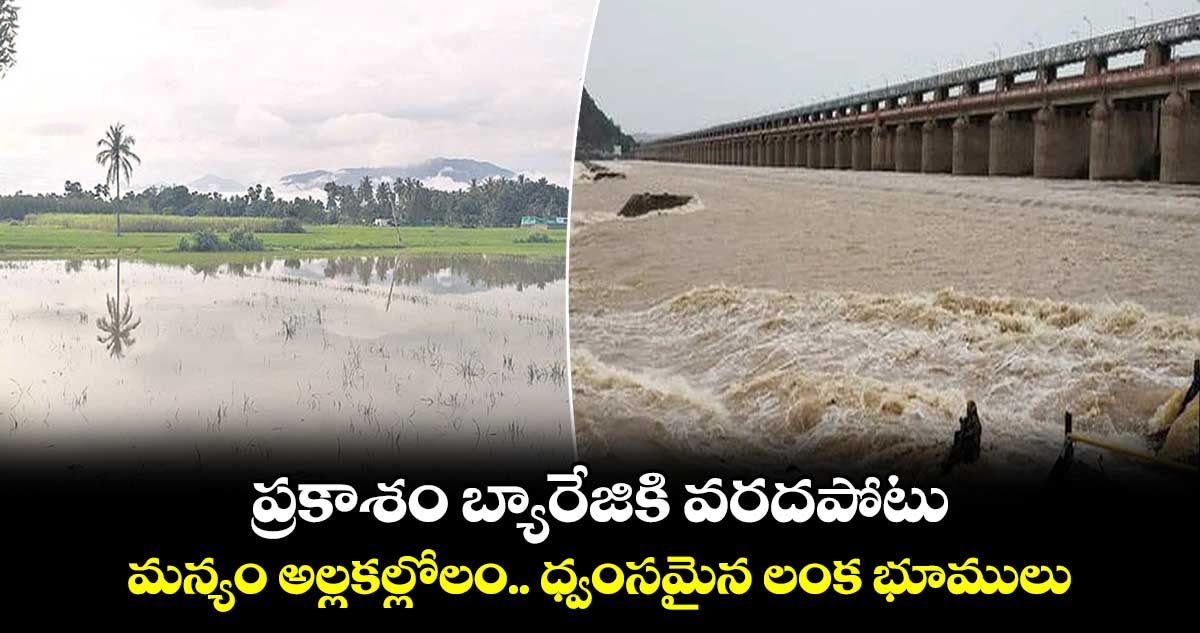 RainAlert: ప్రకాశం బ్యారేజికి వరదపోటు..  మన్యం అల్లకల్లోలం.. ధ్వంసమైన లంక భూములు