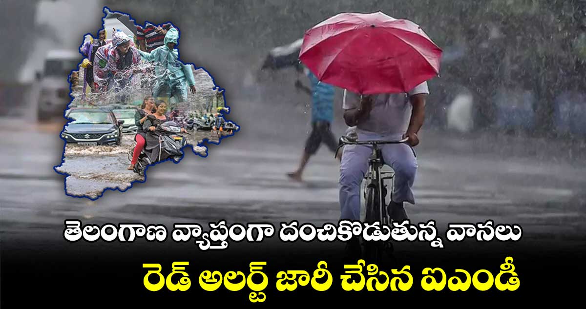 తెలంగాణవ్యాప్తంగా దంచికొడుతున్న వానలు.. రెడ్ అలర్ట్ జారీ చేసిన ఐఎండీ