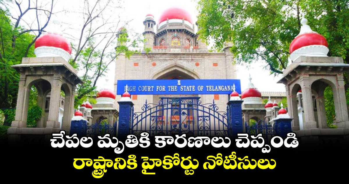 చేపల మృతికి కారణాలు చెప్పండి..రాష్ట్రానికి హైకోర్టు నోటీసులు