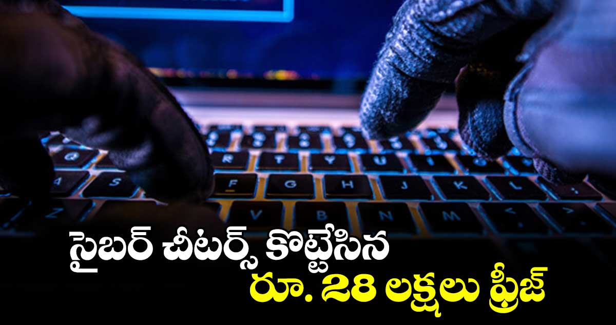 సైబర్ చీటర్స్ కొట్టేసిన రూ. 28 లక్షలు ఫ్రీజ్