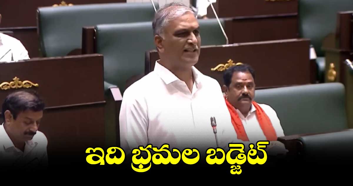 ఇది భ్రమల బడ్జెట్: హరీశ్