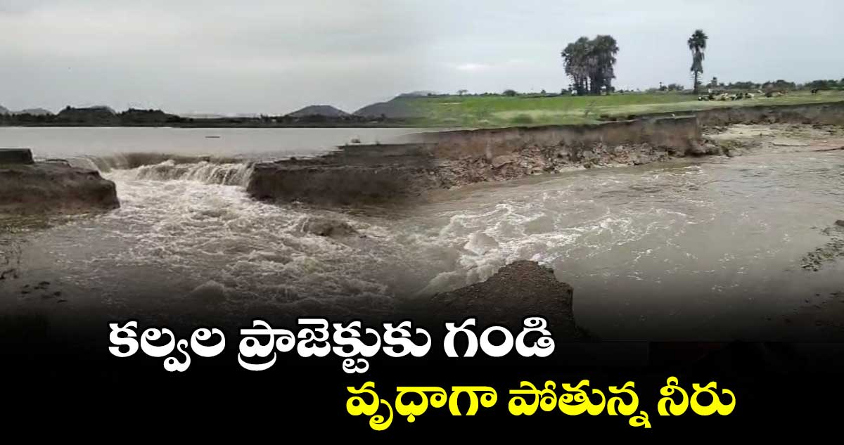 కల్వల ప్రాజెక్టుకు గండి.. వృధాగా పోతున్న నీరు 