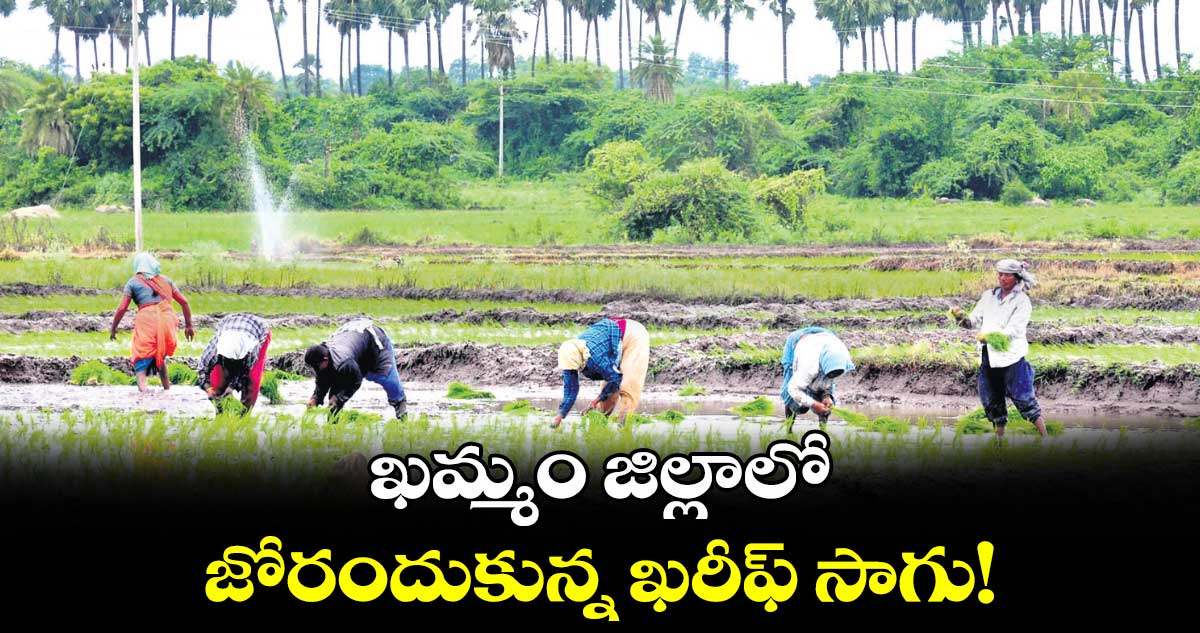 ఖమ్మం జిల్లాలో  జోరందుకున్న ఖరీఫ్​ సాగు!