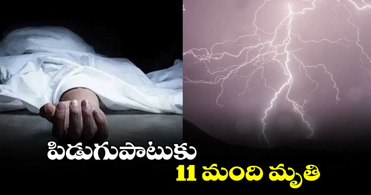 పిడుగుపాటుకు 11 మంది మృతి
