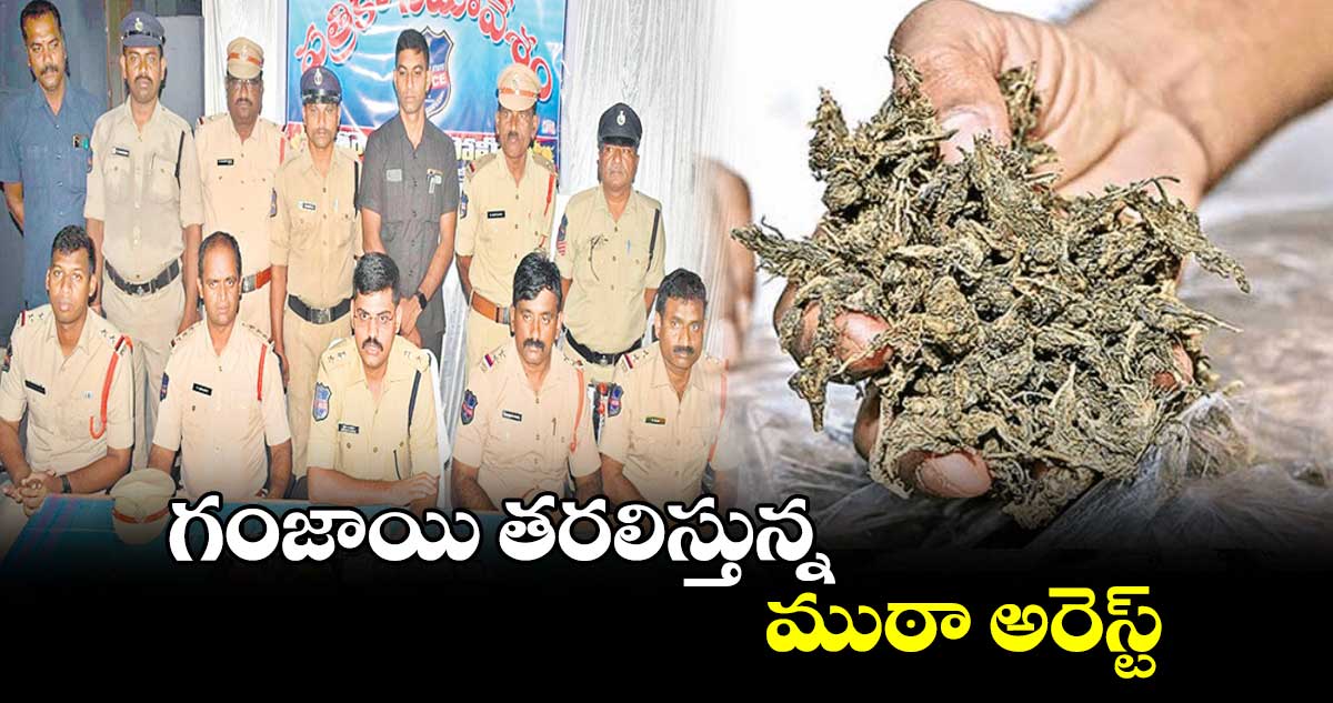 గంజాయి తరలిస్తున్న ముఠా అరెస్ట్‌‌