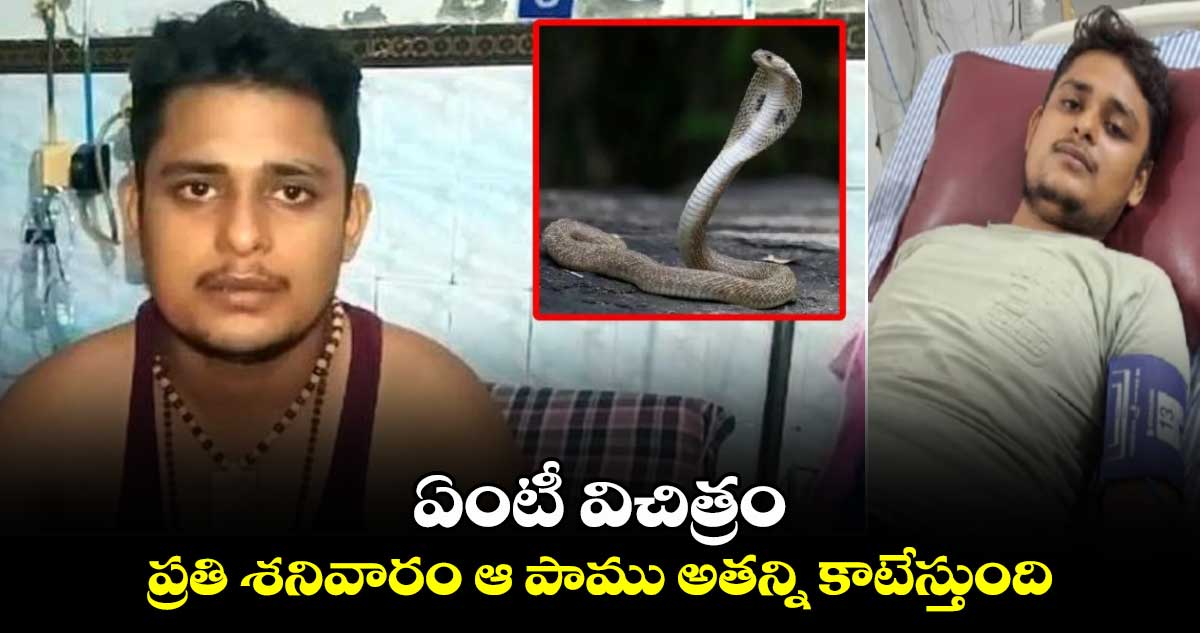 ఏంటీ విచిత్రం : ప్రతి శనివారం ఆ పాము అతన్ని కాటేస్తుంది..