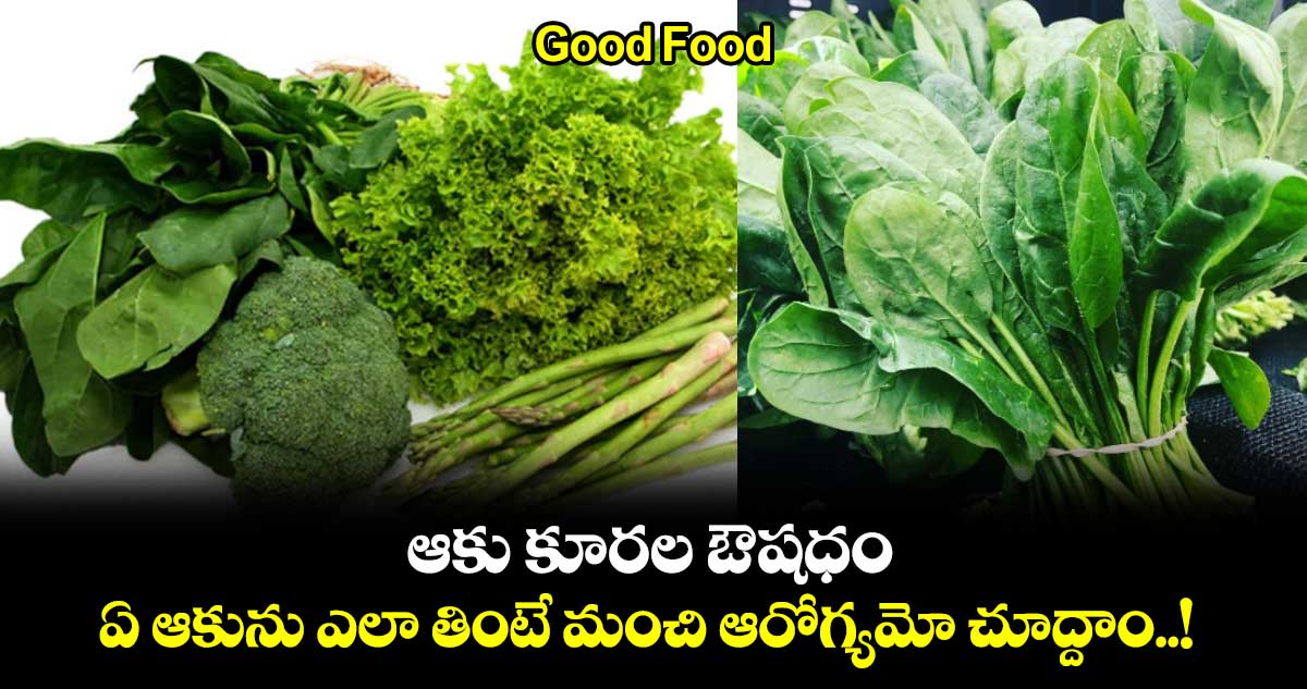 Good Food : ఆకు కూరల ఔషధం.. ఏ ఆకును ఎలా తింటే మంచి ఆరోగ్యమో చూద్దాం..!