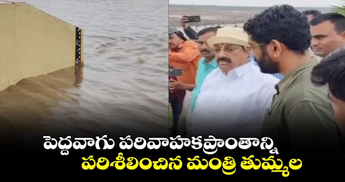 పెద్దవాగు పరివాహకప్రాంతాన్ని పరిశీలించిన మంత్రి తుమ్మల