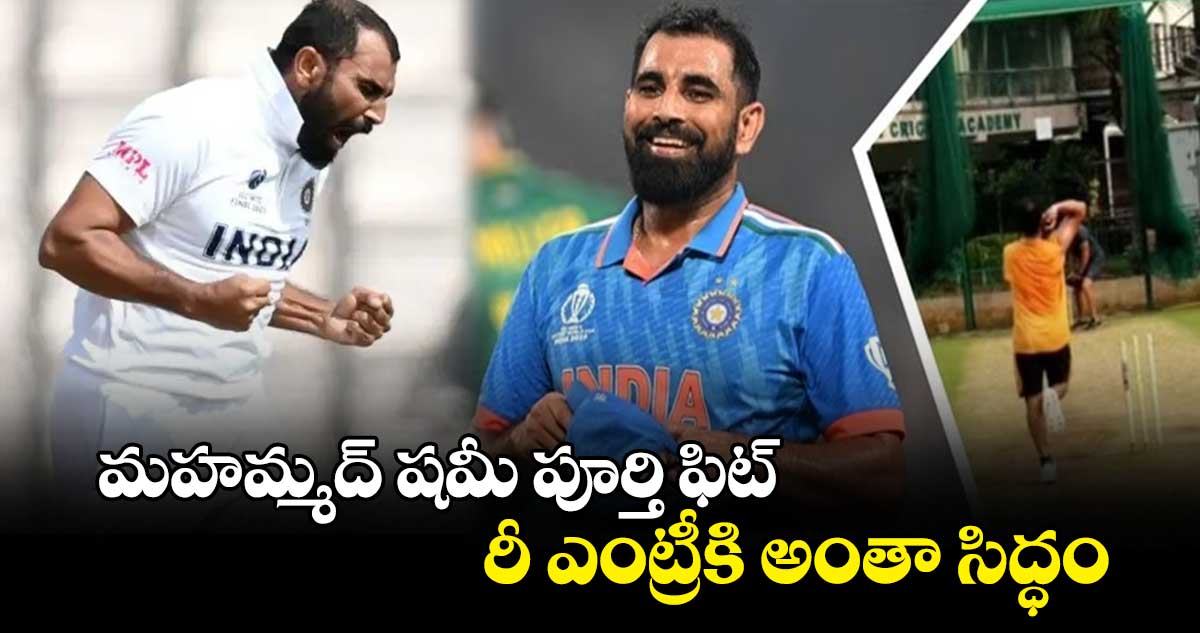 Mohammed Shami: మహమ్మద్ షమీ పూర్తి ఫిట్.. రీ ఎంట్రీకి అంతా సిద్ధం