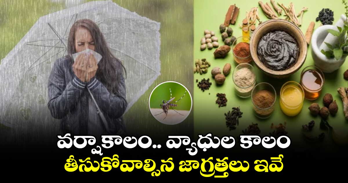 వర్షాకాలం.. వ్యాధుల కాలం.. తీసుకోవాల్సిన జాగ్రత్తలు ఇవే...