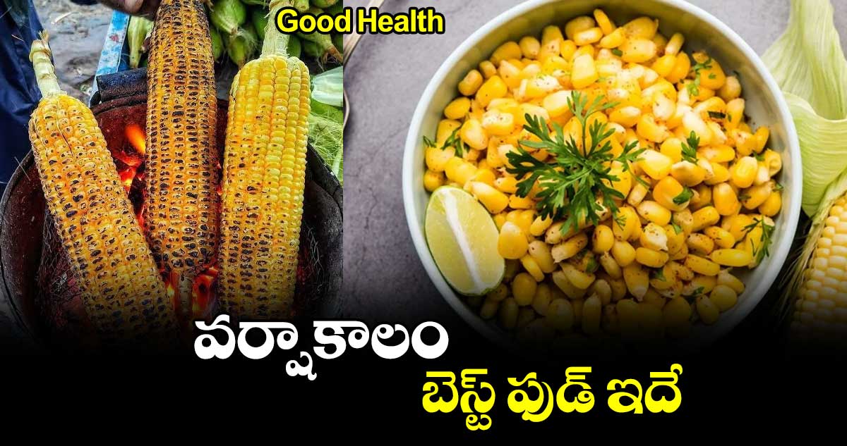 Good Health: వర్షాకాలం..  బెస్ట్​ ఫుడ్​ ఇదే..