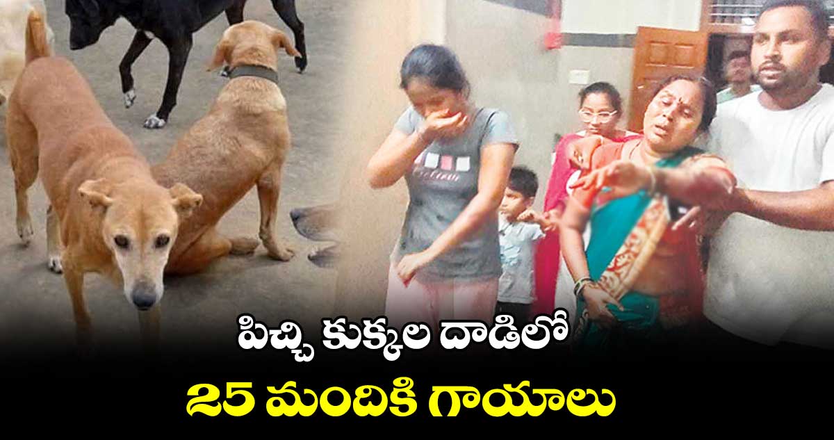 పిచ్చి కుక్కల దాడిలో 25 మందికి గాయాలు