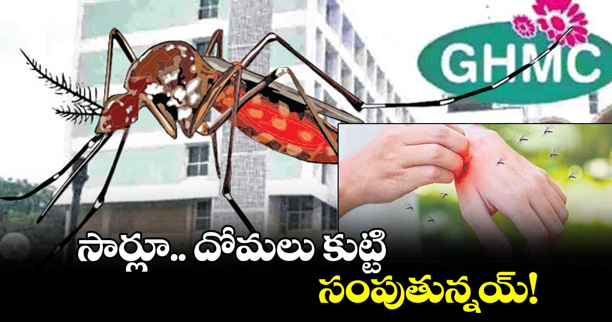 సార్లూ.. దోమలు కుట్టి సంపుతున్నయ్!