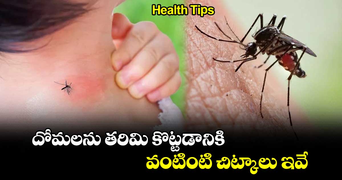 Health Tips: దోమలను తరిమి కొట్టడానికి .. వంటింటి చిట్కాలు ఇవే..