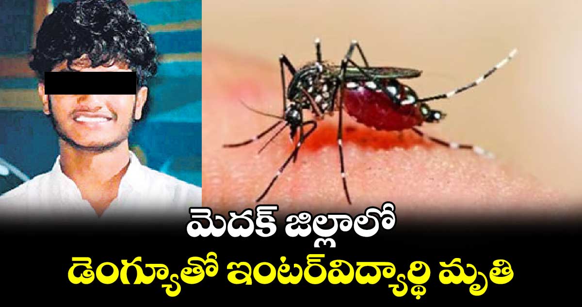 మెదక్ జిల్లాలో డెంగ్యూతో ఇంటర్​విద్యార్థి మృతి