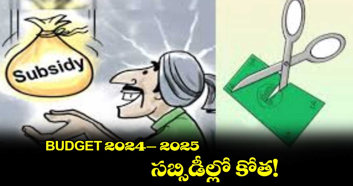 BUDGET 2024 -2025 : సబ్సిడీల్లో కోత!