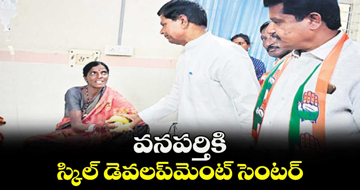 వనపర్తికి స్కిల్​ డెవలప్​మెంట్​ సెంటర్ : చిన్నారెడ్డి