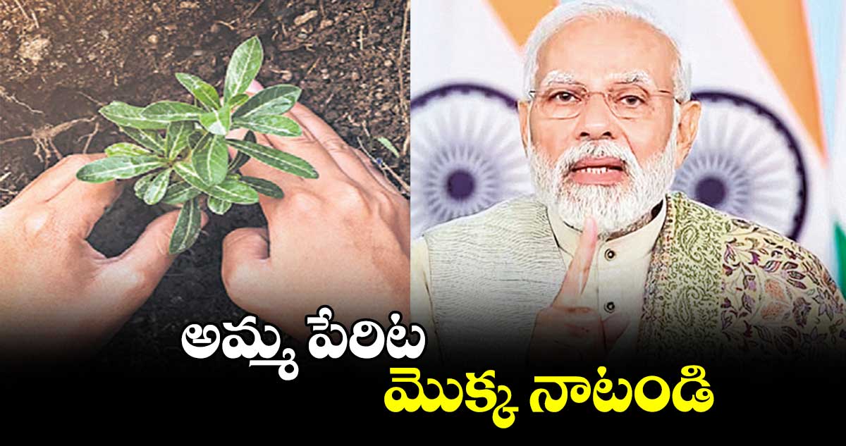 అమ్మ పేరిట మొక్క నాటండి: మోదీ