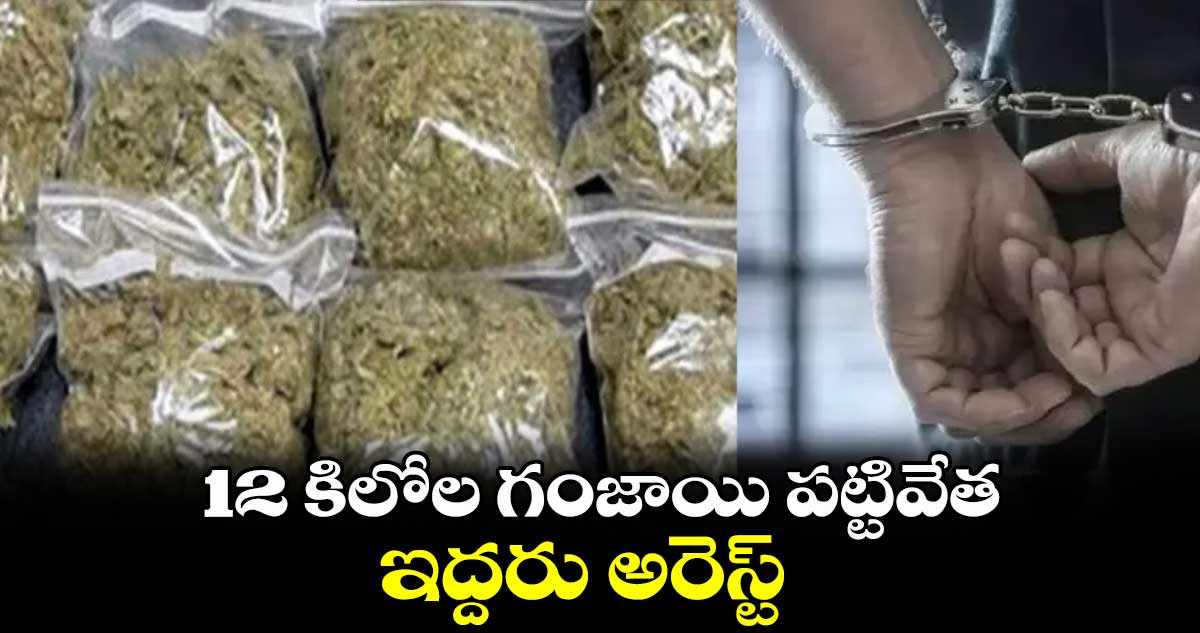 12 కిలోల గంజాయి పట్టివేత... ఇద్దరు అరెస్ట్