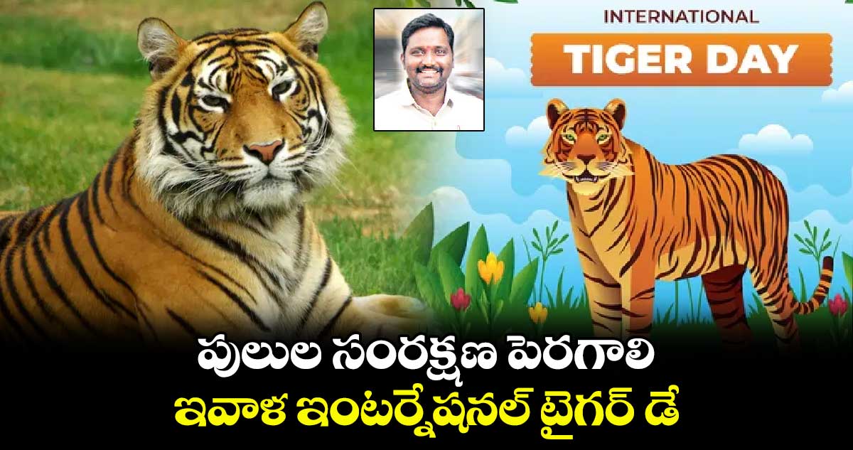 పులుల సంరక్షణ పెరగాలి .. ఇవాళ ఇంటర్నేషనల్​ టైగర్​ డే