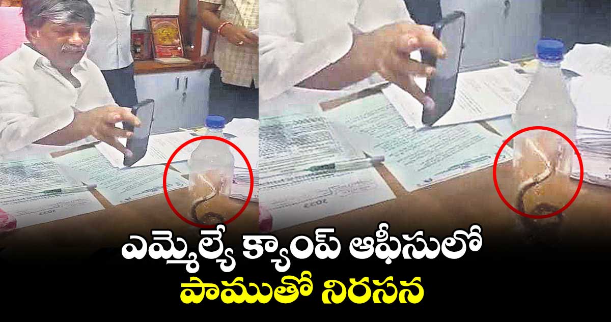 ఎమ్మెల్యే క్యాంప్ ఆఫీసులో పాముతో నిరసన