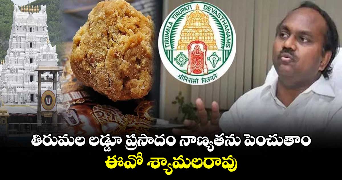 తిరుమల లడ్డూ ప్రసాదం నాణ్యతను పెంచుతాం.. ఈవో శ్యామలరావు