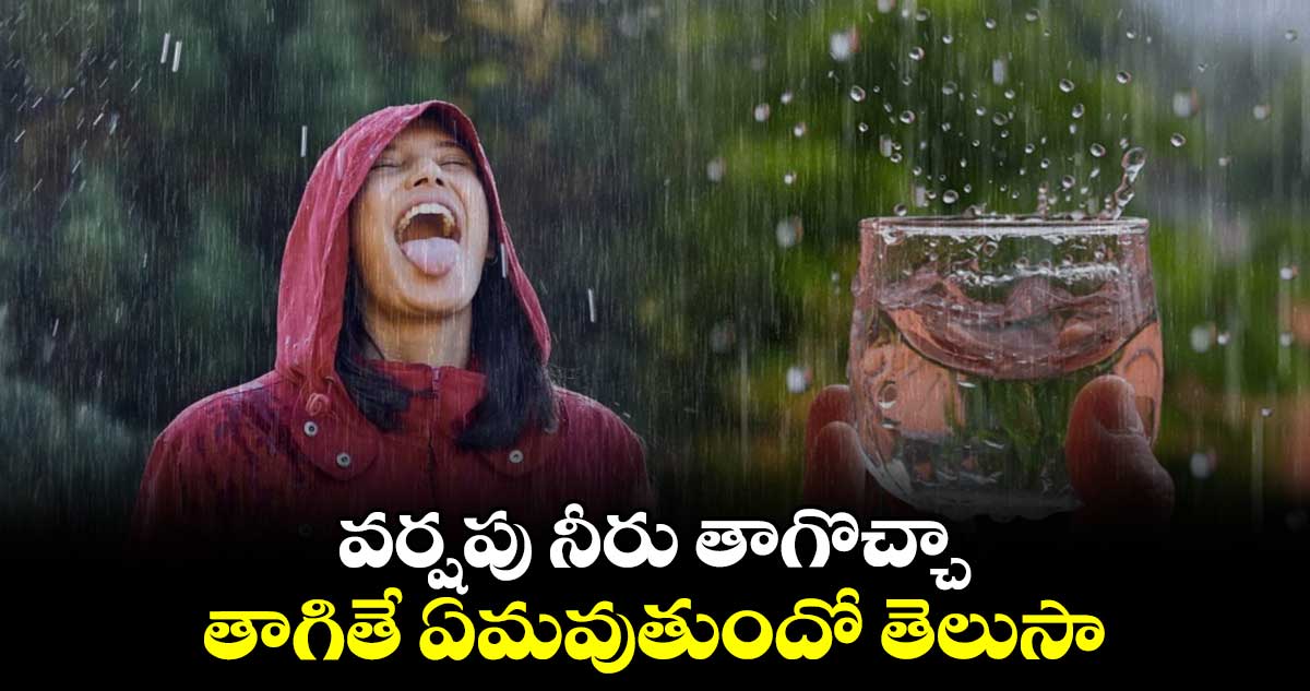 వర్షపు నీరు తాగొచ్చా.. తాగితే ఏమవుతుందో తెలుసా..