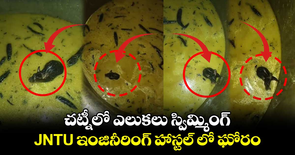 చట్నీలో ఎలుకలు స్విమ్మింగ్ : JNTU ఇంజినీరింగ్ హాస్టల్ లో ఘోరం