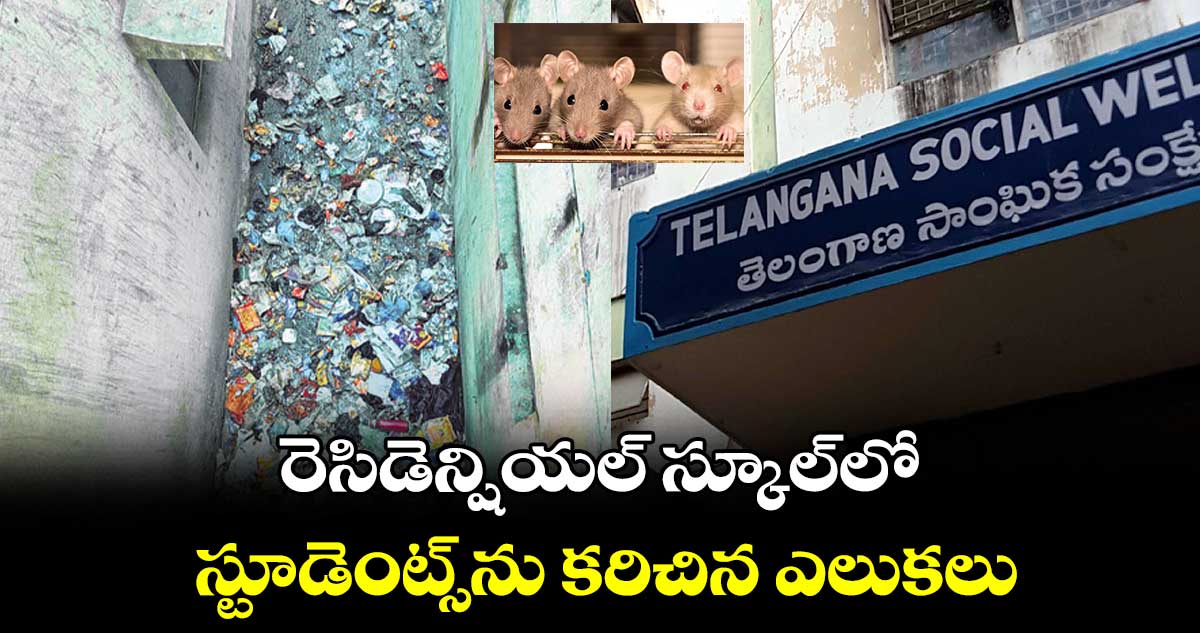 రెసిడెన్షియల్ స్కూల్​లో స్టూడెంట్స్​ను కరిచిన ఎలుకలు