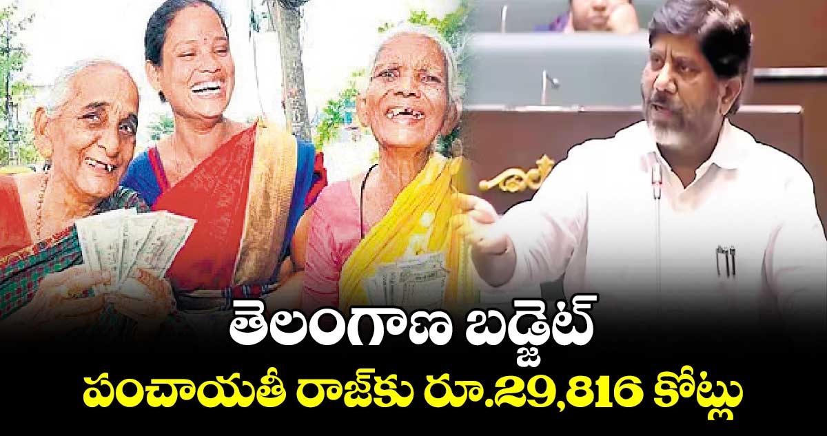 తెలంగాణ బడ్జెట్: పంచాయతీ రాజ్‌కు రూ.29,816 కోట్లు