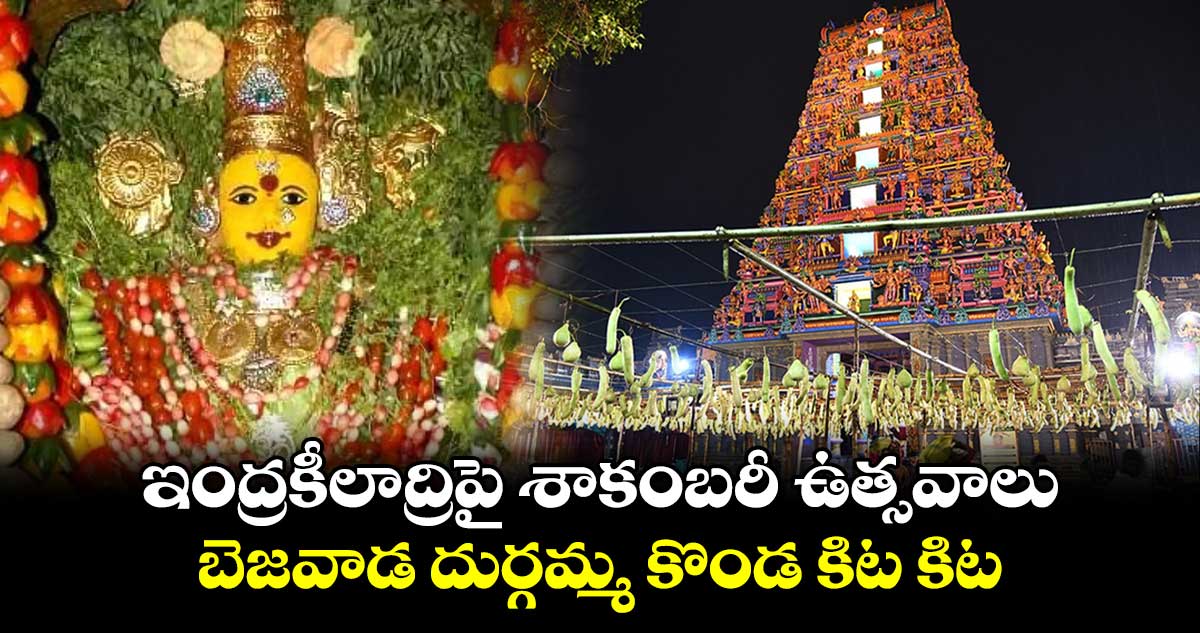 ఇంద్రకీలాద్రిపై శాకంబరీ ఉత్సవాలు.. బెజవాడ  దుర్గమ్మ కొండ కిట కిట...