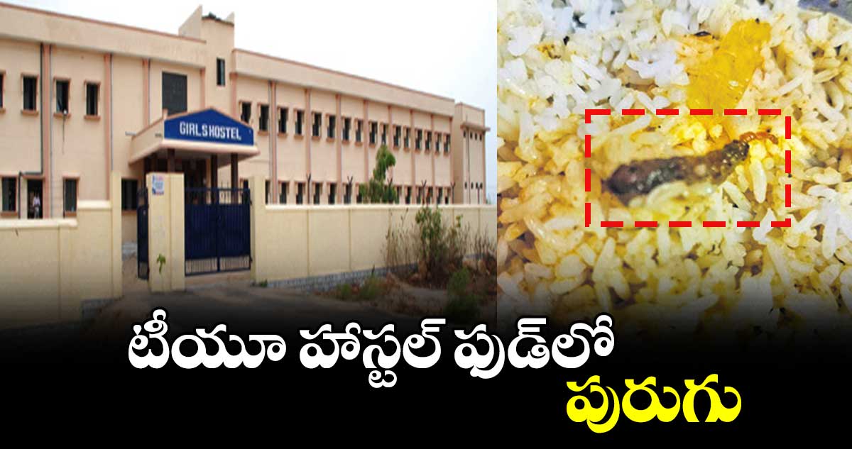 టీయూ హాస్టల్ ఫుడ్లో పురుగు