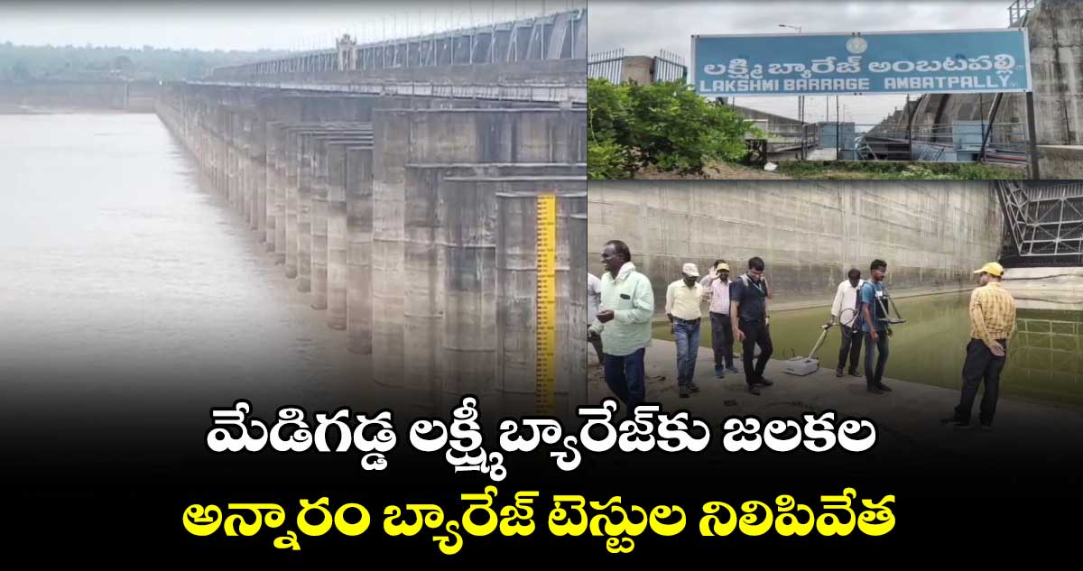 మేడిగడ్డ లక్ష్మీ బ్యారేజ్‌కు జలకల : అన్నారం బ్యారేజ్‌ టెస్టుల నిలిపివేత