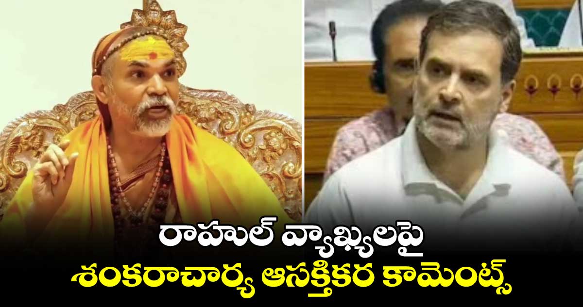 Shankaracharya:రాహుల్ వ్యాఖ్యలపై శంకరాచార్య ఆసక్తికర కామెంట్స్