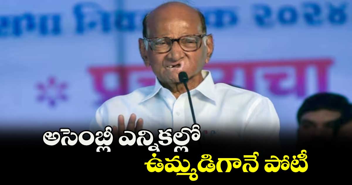 వచ్చే అసెంబ్లీ ఎన్నికల్లో ఉమ్మడిగానే పోటీ: శరద్ పవార్