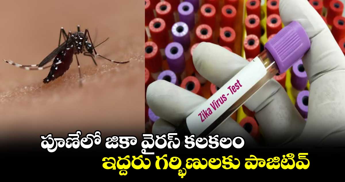 పూణేలో జికా వైరస్ కలకలం.. ఇద్దరు గర్భిణులకు పాజిటివ్