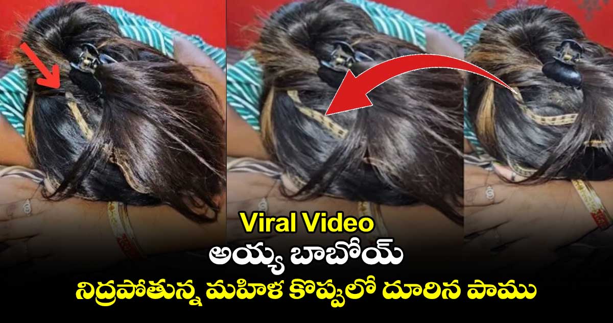 Viral Video: అయ్య బాబోయ్ : నిద్రపోతున్న మహిళ కొప్పులో దూరిన పాము