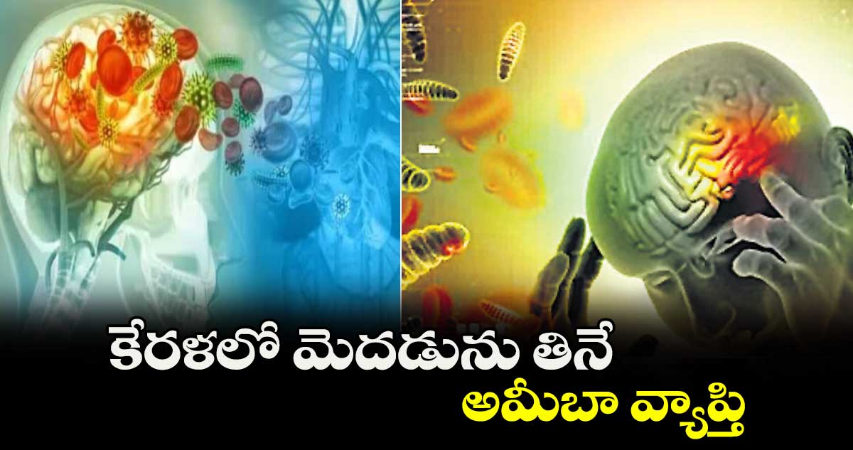 కేరళలో మెదడును తినే అమీబా వ్యాప్తి
