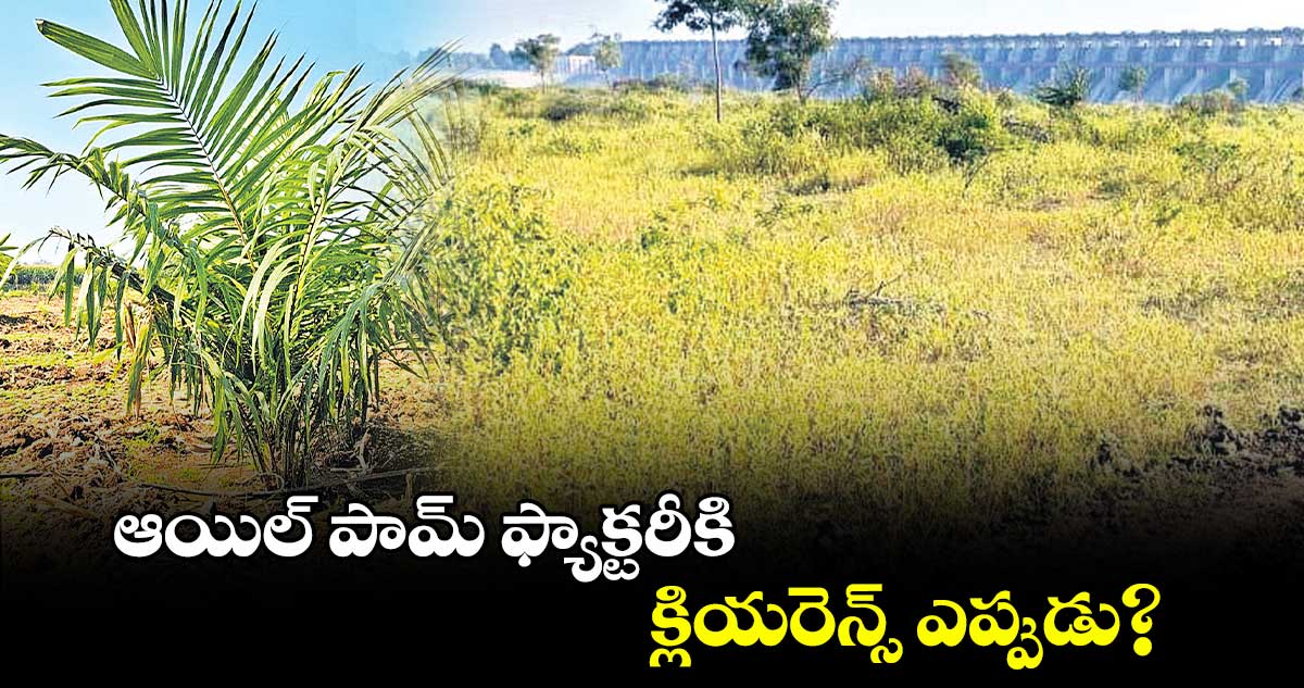 ఆయిల్ పామ్ ఫ్యాక్టరీకి క్లియరెన్స్​ ఎప్పుడు?