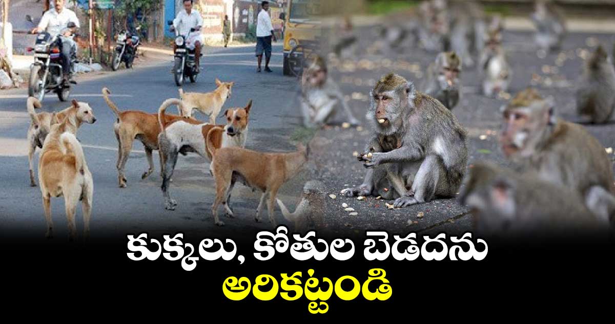 కుక్కలు, కోతుల బెడదను అరికట్టండి : సూర్యనారాయణ 